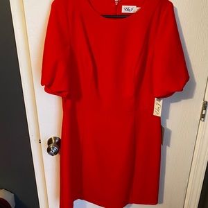 Eliza J red dress